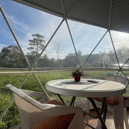 La Comarca River Glamping Dome Near 曼努埃尔安东尼奥 外观 照片